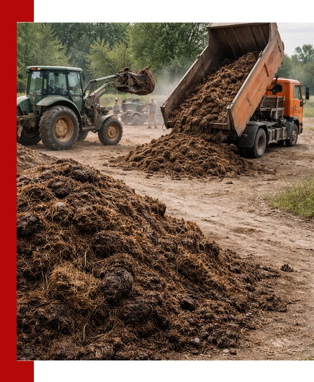 Доставка навоза самосвалами в Реутове для сельхозпотребностей